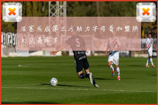 活塞或成第三方助力字母哥加盟热火交易希罗